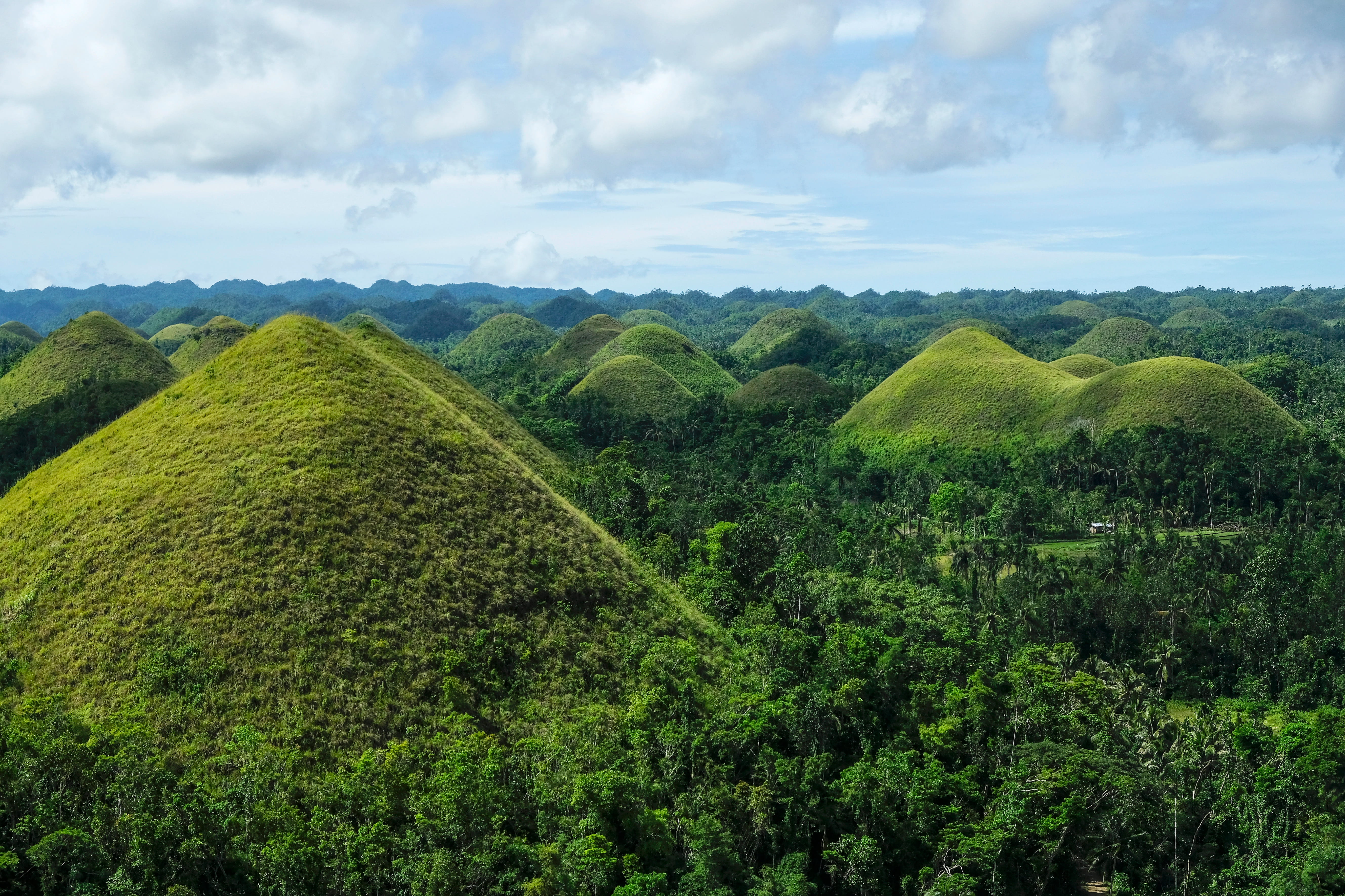 Filipiny - rajska podróż Czekoladowe Wzgórza Bohol (10).jpg